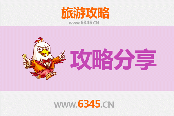 新北坪林出发：厦门鼓浪屿深度旅游攻略与行程规划