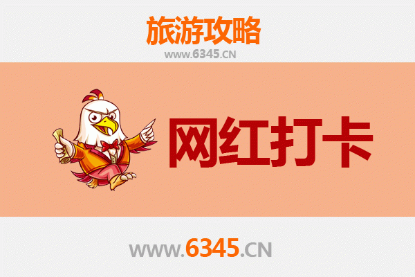 新北坪林秘境打卡指南：茶乡美学与网红地标全攻略